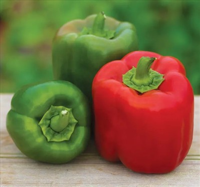 0100_20260111_1229_Candy Apple Sweet Peppers.jpg